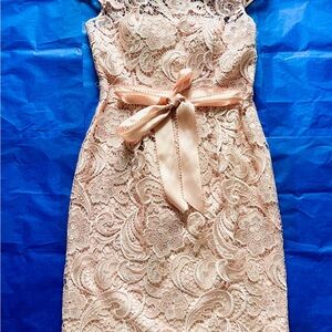 Adrianna Papell Blush Lace Midi Dress